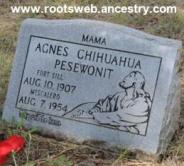 Agnes Chihuahua Pesewonit
